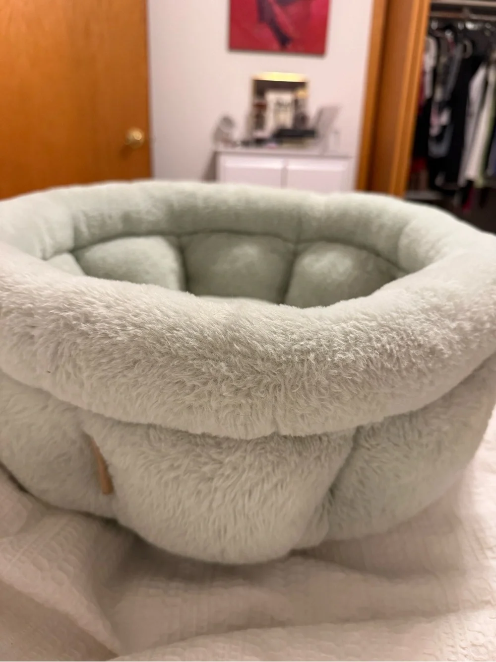 Martha Stewart Plush Round Pet Bed in Pale Green